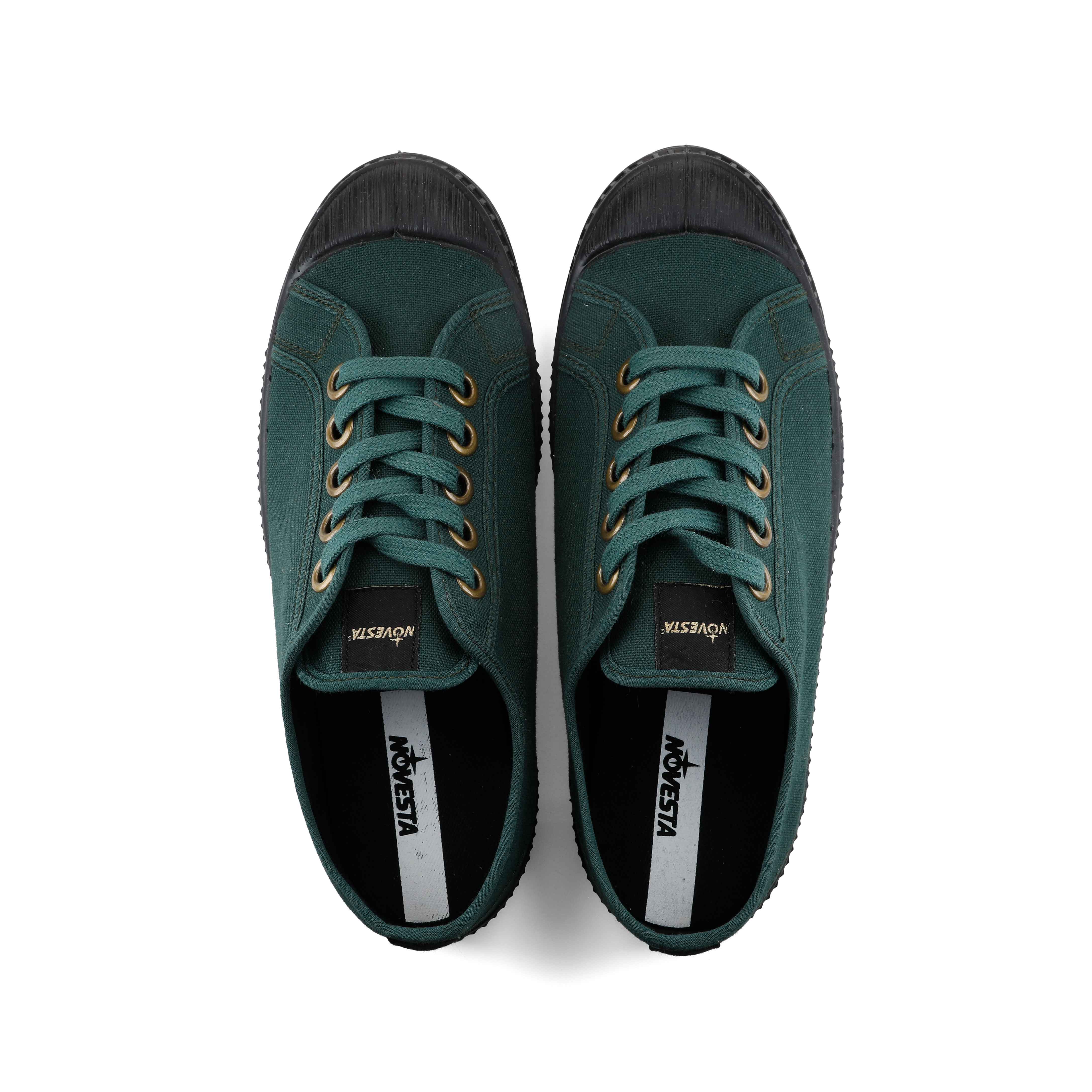 Picture of Star Master Sycamore